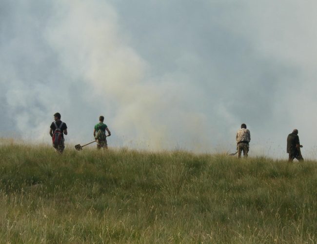 Два пожара горят в Природен парк „Рилски манастир“