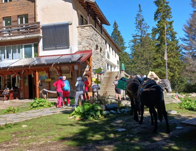 Сговорна дружина планина повдига: Доброволци помогнаха за текущите ремонти на хижа „Скакавица“