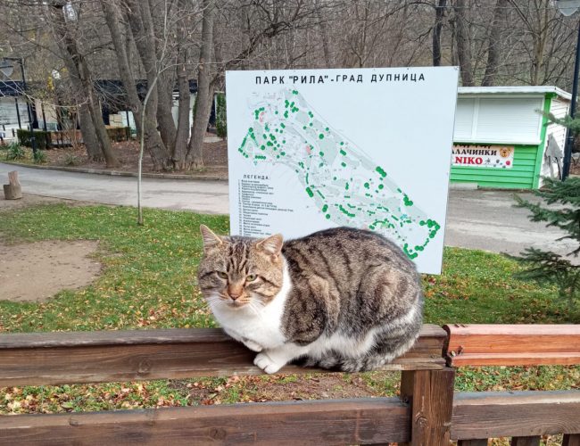 „Стягат“ парка за новия сезон