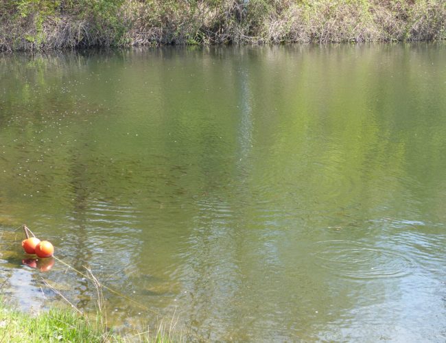 Заповед забранява къпането и плуването в неохраняемите водоеми